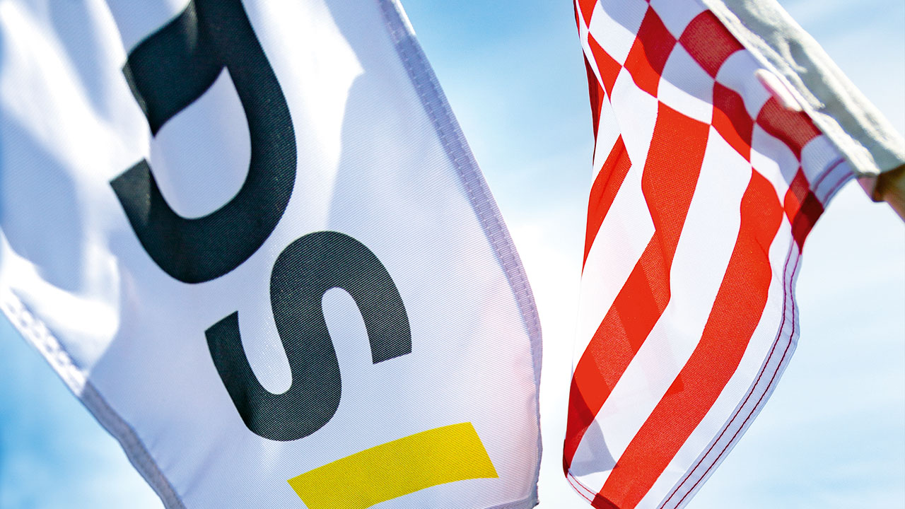 Flaggen mit DS Logo wehen im Wind