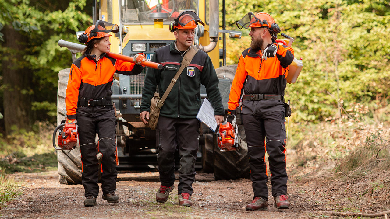 Drei Personen in Arbeitskleidung mit Motorsägen im Wald, im Hintergrund ein Fahrzeug